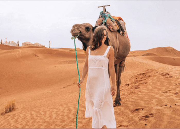 marrakech to merzouga desert tours 3D/2N